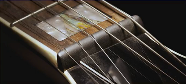 Guitar Nuts
