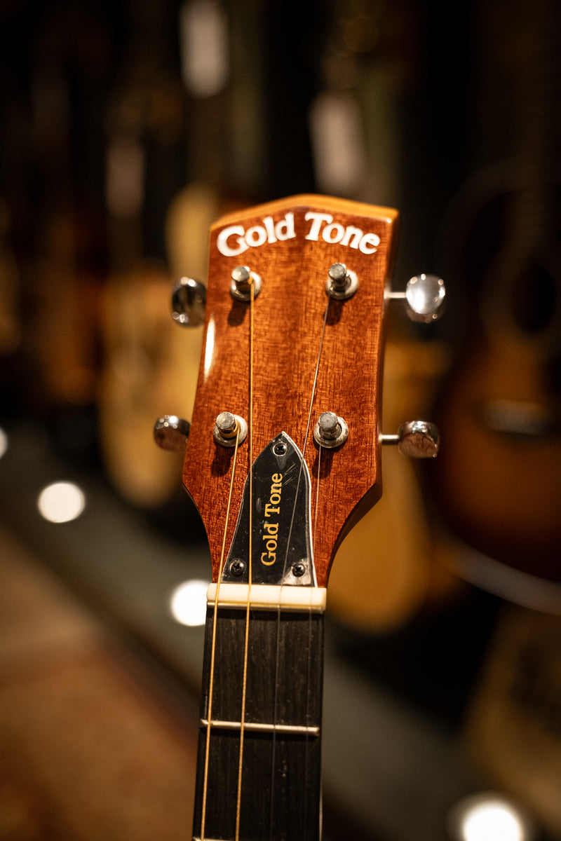 Gold Tone I-TG-10 Tenor Guitar w/ gig bag (SN: 22310695)