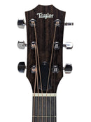 Close-up of a Taylor acoustic guitar headstock made of dark wood, featuring six silver tuning pegs and six strings, set against a light gray background.