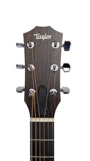 110ce_5010_Headstock