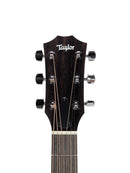 Close-up of the headstock of a Taylor acoustic guitar, showing the brand name in white script on a dark wood background with six tuning pegs, on a light gray studio background.