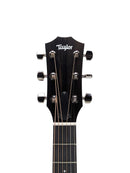 212cePlus-6469_Headstock