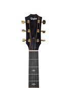 224ce-K_DLX-6394_Headstock