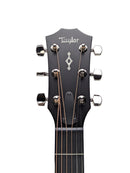 Close-up of the headstock of a Taylor acoustic guitar, showing the brand name 'Taylor' in white script and the tuning pegs against a light gray background.