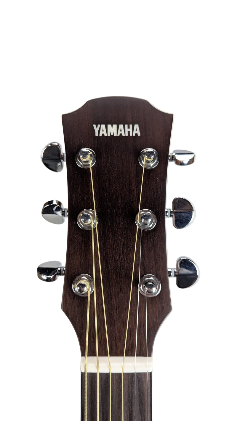 A1M_TBS_Headstock