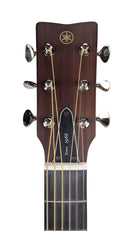 FGX3_Headstock
