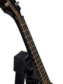 FlatironFestA_FretboardClose1
