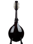 FlatironFestA_FullBack