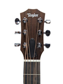 GSkoa_5272 Headstock