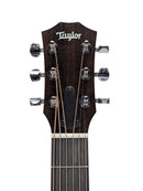 Close-up of a Taylor acoustic guitar headstock with six silver tuning pegs and strings, set against a plain light gray background.