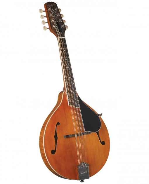 弦楽器 Recording King Mandolin Recording King Mandolin