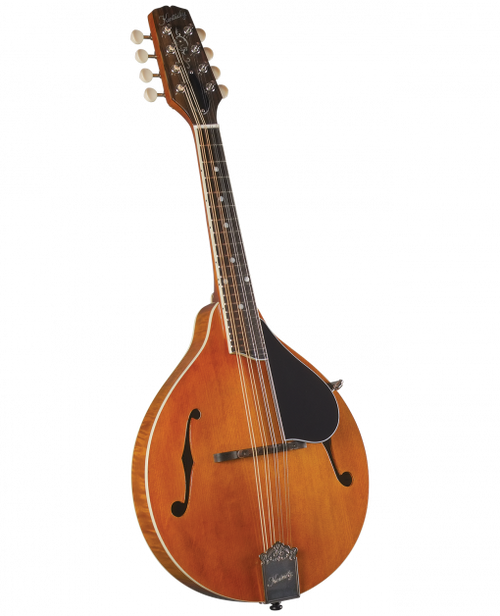 Geordie Mandoliniさん専用 Kentucky KM-858 Artist F-model Mandolin – Gold Top - Saga Music
