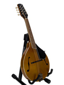 Kentucky KM-252 A-Style Mandolin Front 2