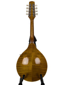 Kentucky KM-252 A-Style Mandolin Rear 1