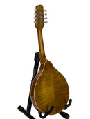 Kentucky KM-252 A-Style Mandolin Rear 2