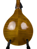 Kentucky KM-252 A-Style Mandolin Rear Close