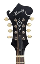 Kentucky KM-750 Headstock