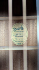 Blueridge BR-40 Contemporary Series Dreadnought Guitar (SN: 24100055)