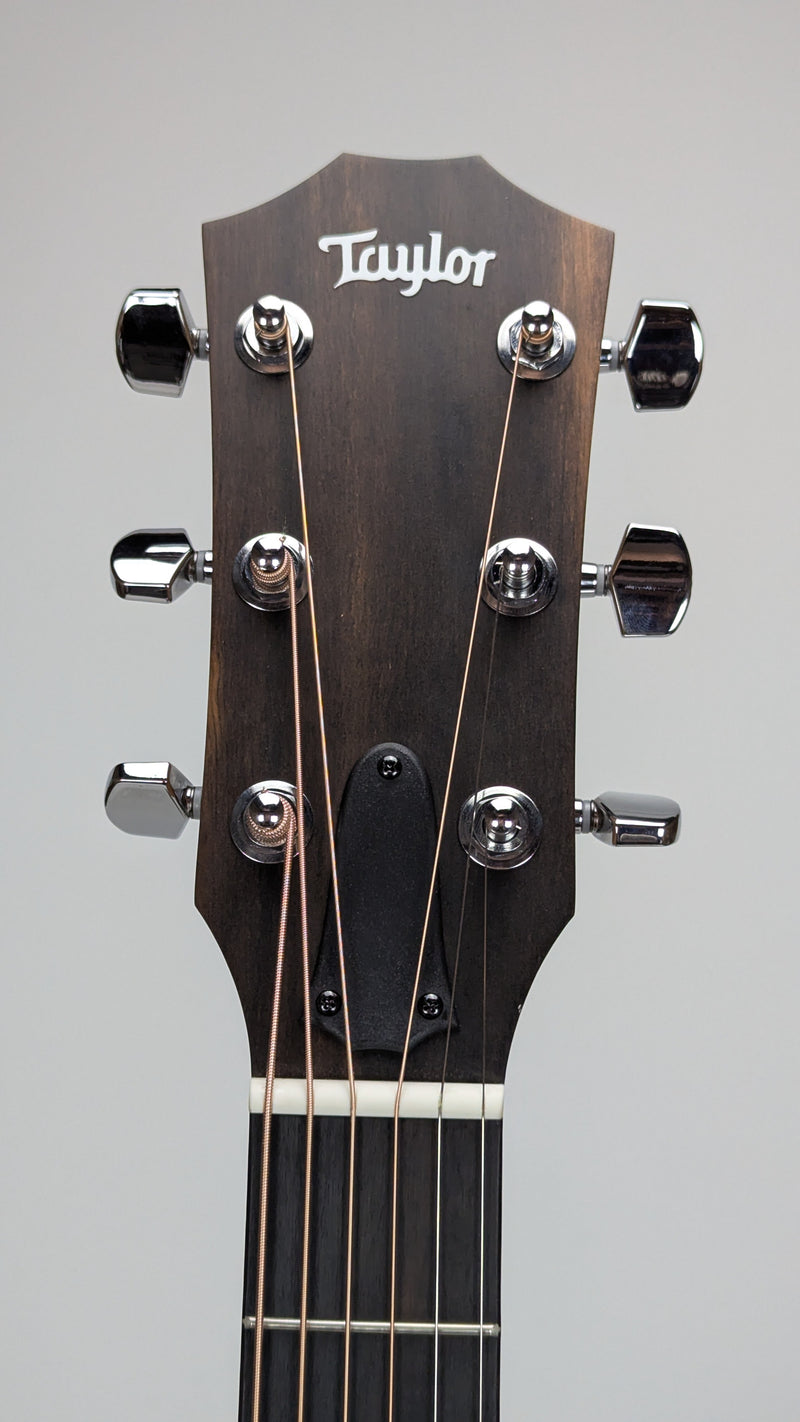 Taylor 210ce, Walnut/Spruce (SN: 2203135394)
