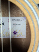 Taylor 117e Spruce/Sapele (SN: 2210275527)