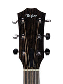 Taylor 117e-6525 Headstock