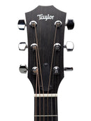 Taylor 214ce Headstock