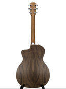 Taylor 214ce Rear