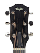 Taylor 314ce Studio Natural Headstock