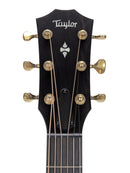 Taylor 50th Anniversary Builder's Edition 314ce Headstock