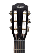 Taylor 512ce 12-fret '3117 Headstock