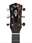 Taylor Gold Label 717e-5049 Headstock