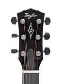 Taylor Gold Label 814e Headstock