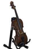 Violin 5
