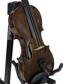 Violin 6