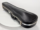 Violin Case 1