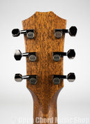 Taylor GT 811e w/ Deluxe Aerocase (S/N 1205032017)