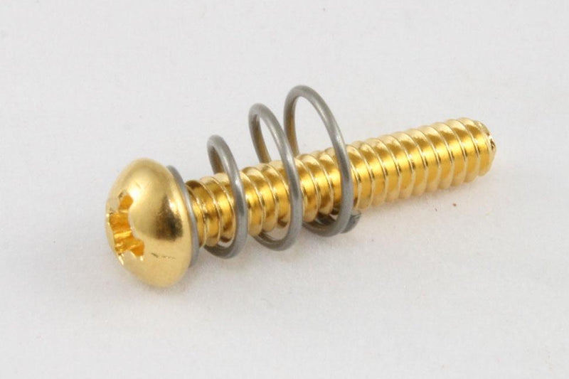 Allparts GS 0007 Single Coil Pickup Screws w/ Springs - 8 Pack