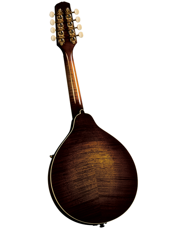 Kentucky - Open Chord