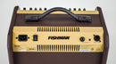 Fishman PRO-LBT-500 Loudbox Mini Acoustic Guitar Amp