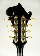 Kentucky KM-850 Artist F-model Mandolin – Vintage Sunburst