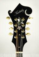 Kentucky KM-850 Artist F-model Mandolin – Vintage Sunburst